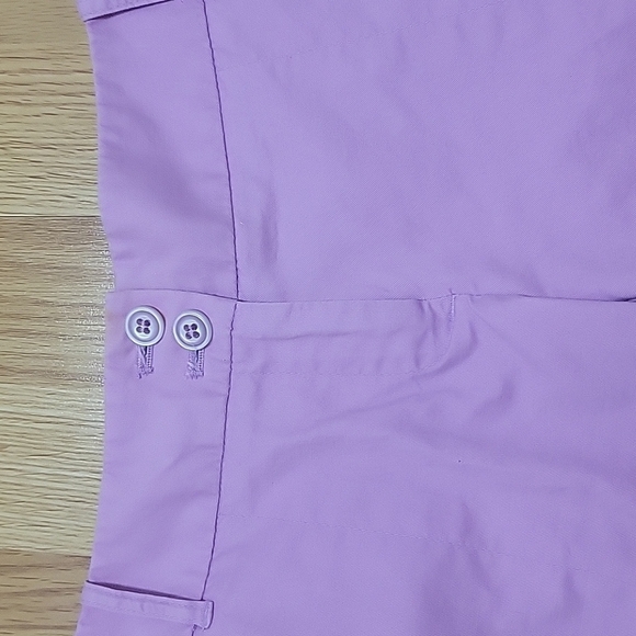 EUC The Limited cotton shorts - Picture 3 of 6